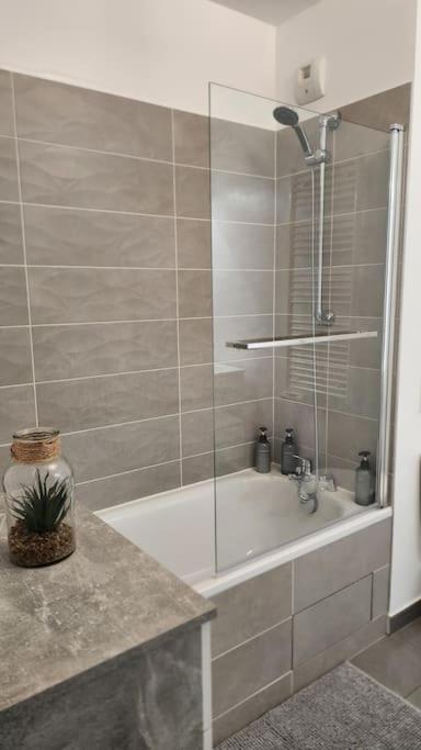 Appartement Elegance Et Charme Aux Portes De Paris Saint-Ouen (Seine-Saint-Denis)